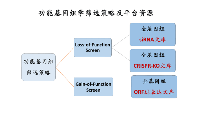 内容图.png