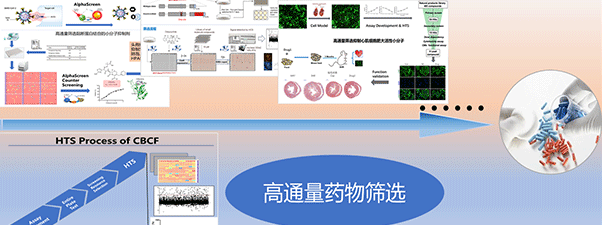 网站首页图.png