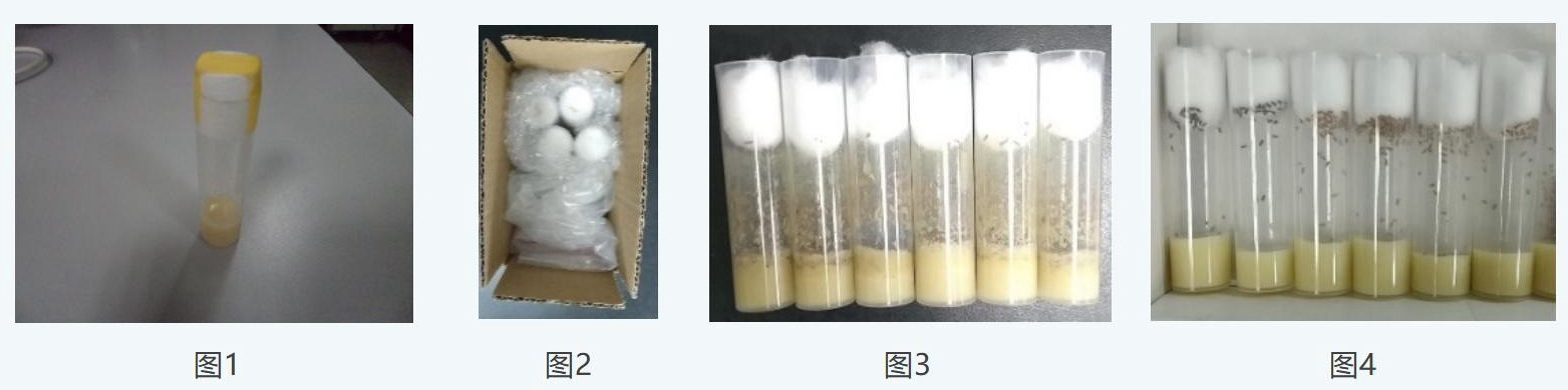 耗材 姜排版_Sheet3.jpg