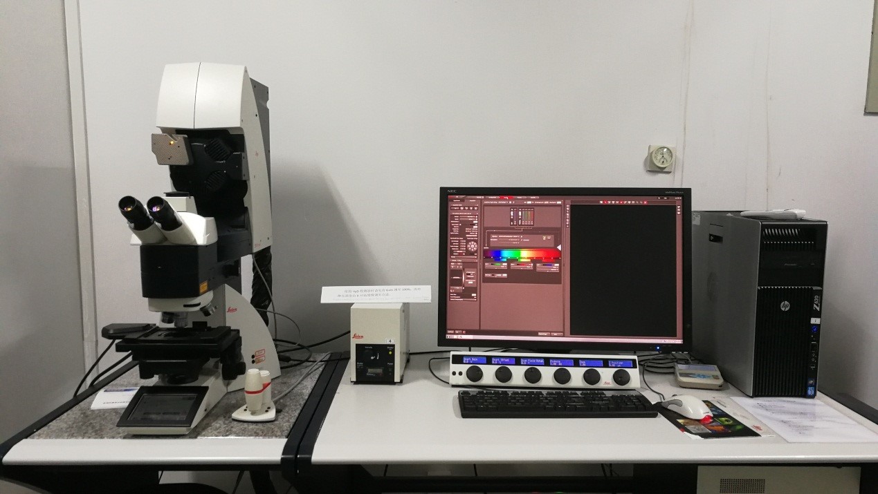 leica tcs sp8激光共聚焦显微镜系统
