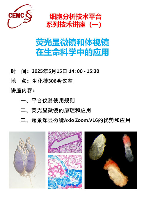 网站尺寸图.jpg